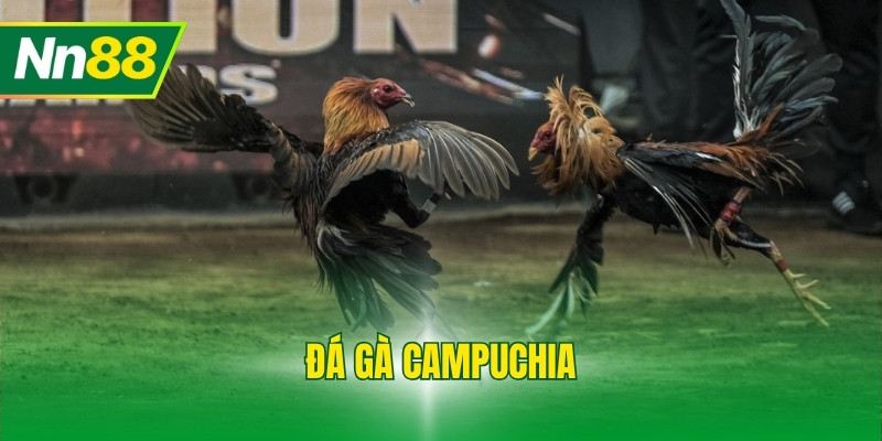 Đá Gà Campuchia